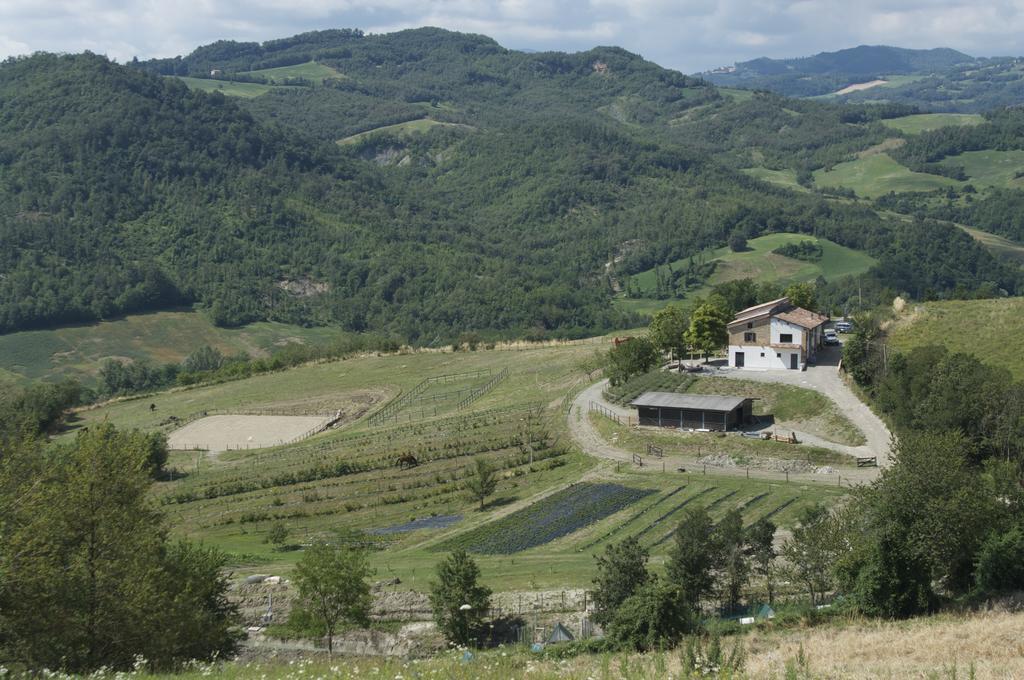 B&B Villa Rossana Langhirano Buitenkant foto