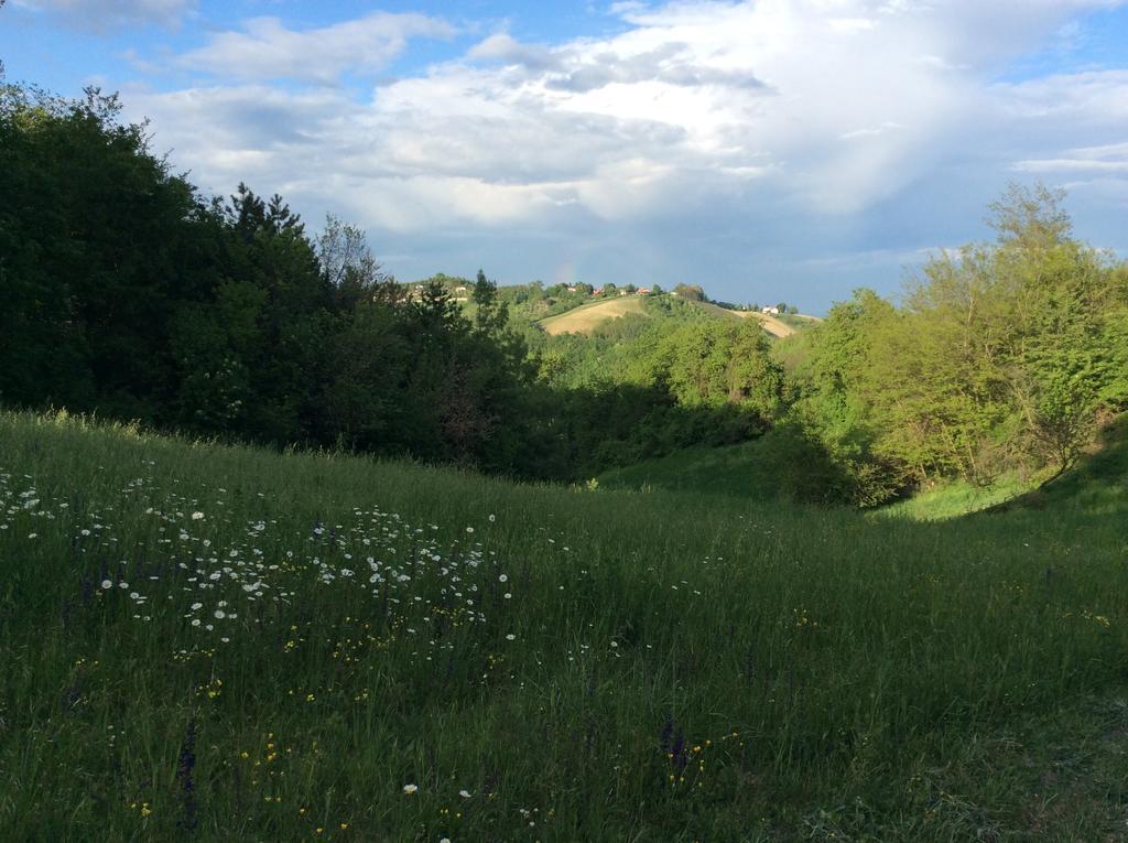 B&B Villa Rossana Langhirano Buitenkant foto